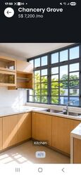 Chancery Grove (D11), Terrace #568288621